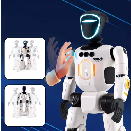 Robot interaktywny zdalnie sterowany głosem programowany chodzi mówi tańczy