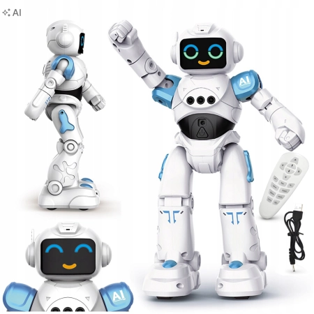 Robot interaktywny z pilotem i czujnikiem gestów